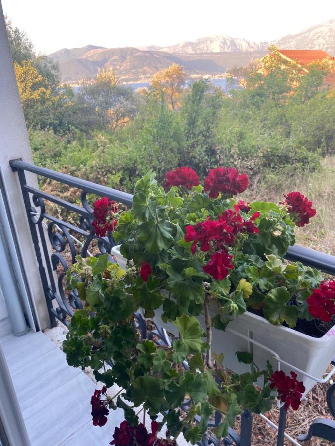 Villa Mare Apartments Tivat Luaran gambar