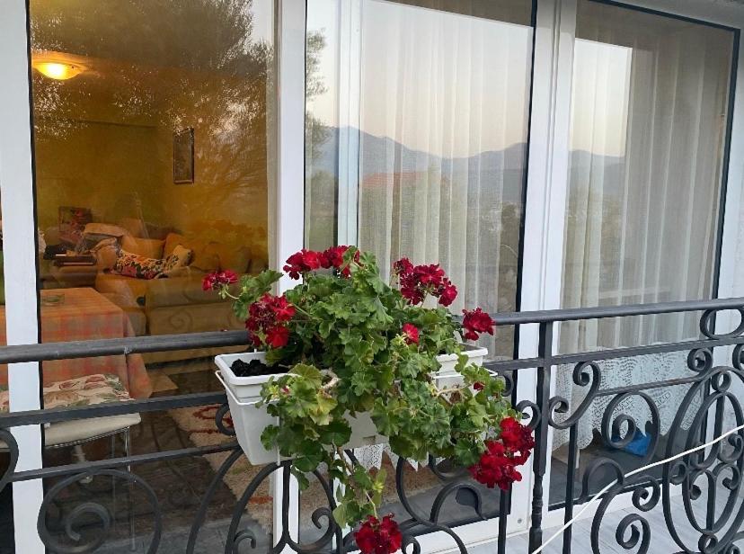 Villa Mare Apartments Tivat Luaran gambar